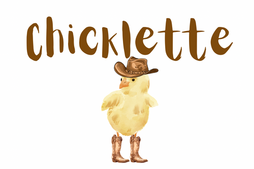 Chicklette Play and Apparel 